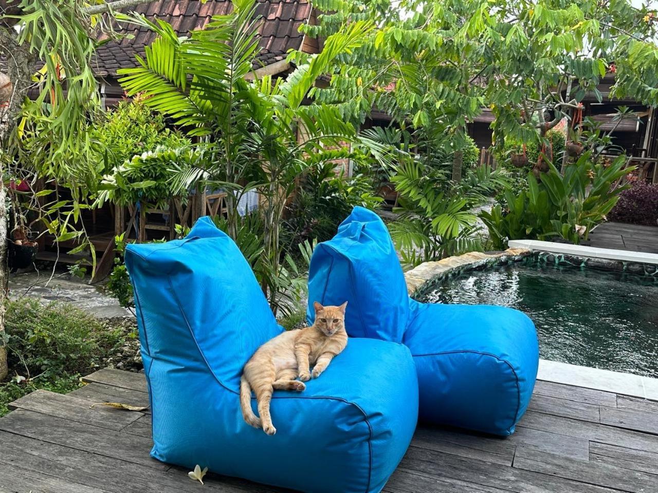 Pinokkio B&B Restaurant Ungasan  Bagian luar foto