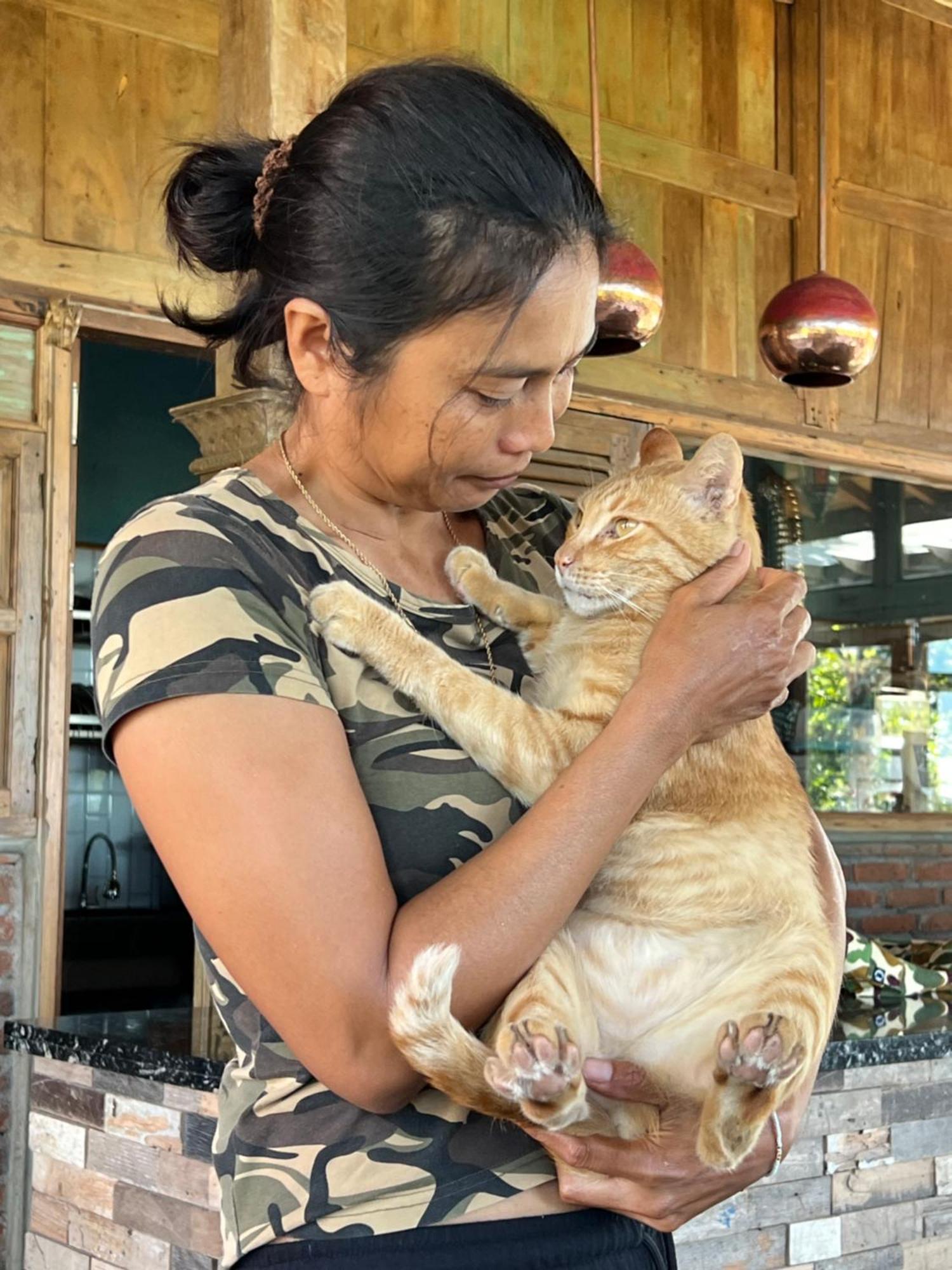 Pinokkio B&B Restaurant Ungasan  Bagian luar foto